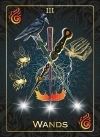 3 of Wands